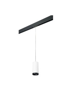 Трековый светильник Lightstar Rullo PRORP64863487