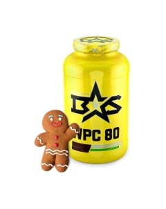 Протеин Binasport ВиПиСи 80