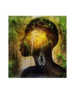 Картина White Wood B112-V-096-160-6.34 White wood