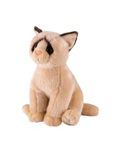 Мягкая игрушка Maxitoys Maxi Life Сиамская кошечка / ML-SO-130222-25-3