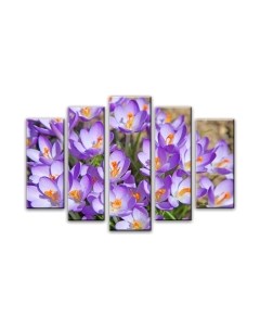 Картина модульная Arthata 5m-187