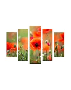 Картина модульная Arthata 5m-483