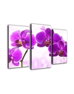 Картина модульная Arthata m-000304