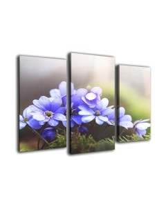 Картина модульная Arthata m-000474