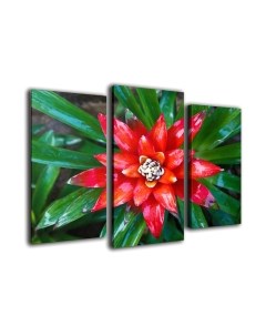 Картина модульная Arthata m-000243