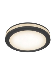 Потолочный светильник Maytoni Phanton DL303-L12B4K