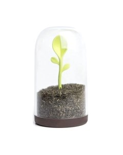 Емкость для хранения Qualy Sprout Jar / QL10205-BN