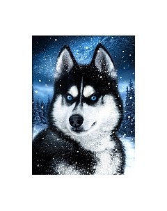 Набор алмазной вышивки Хаски в снегу / АЖ-1804 Wizardi