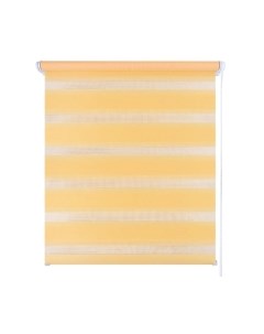 Рулонная штора LEGRAND День-Ночь 47x160 / 58 069 976 Legrand