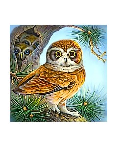 Набор алмазной вышивки Сова с птенцами / WD2494 Wizardi