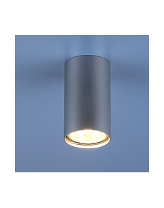 Точечный светильник Elektrostandard 1081 GU10 SL / 5257