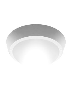 Светильник ЖКХ JAZZway 5017238 Jazzway