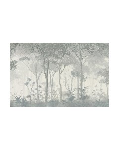 Фотообои листовые Citydecor Таинственный лес