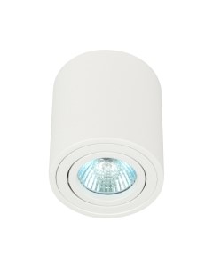 Потолочный светильник ЭРА OL21 WH / Б0054392 Эра