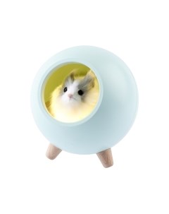 Ночник ЭРА NLED-468-1W-GR / Б0052817 Эра