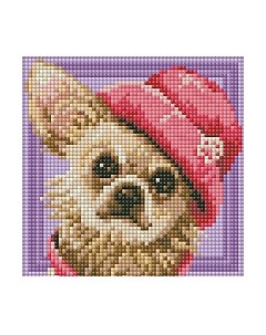 Набор алмазной вышивки Чихуахуа / АЖ-1569 Алмазная живопись