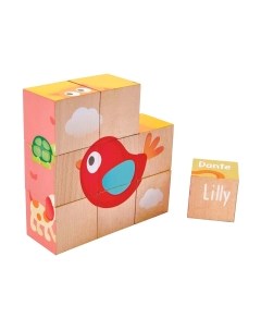 Развивающий игровой набор Hape Кубики Лили / E0452-HP