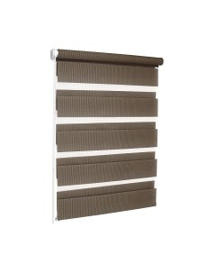 Рулонная штора Эскар День-Ночь 98x170 / 400508098