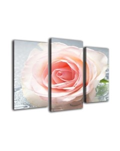 Картина модульная Arthata m-000273