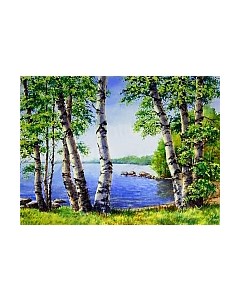 Набор алмазной вышивки Березы у озера / АЖ-1340 Алмазная живопись