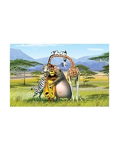 Фотообои листовые Citydecor Мадагаскар