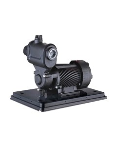 Насосная станция Pumpman TGP550N