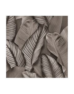 Виниловые обои Лора 93313 Vimala