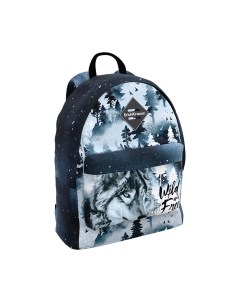 Школьный рюкзак Erich Krause EasyLine 17L Timber Wolf / 60137 Erich krause