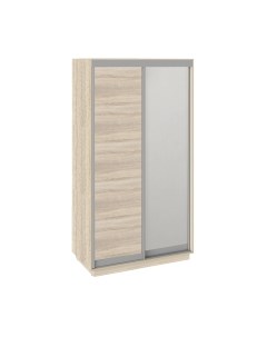 Шкаф-купе Румер СШК 1.120.60-11.13 2-х дверный Трия