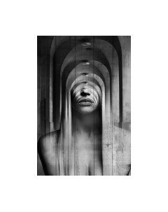 Картина White Wood B112-V-084-135-6.36 White wood