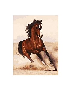 Картина по номерам БЕЛОСНЕЖКА Галоп / 107-AS Белоснежка