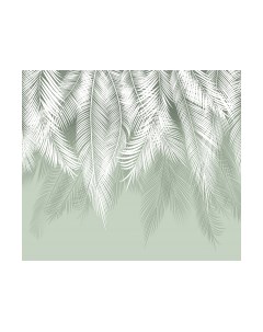 Фотообои листовые Citydecor Пальмовые листья