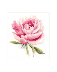 Набор для вышивания Нежный пион / 2-47 Алиса