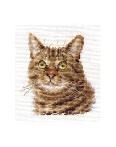 Набор для вышивания Европейский кот / 0-135 Алиса