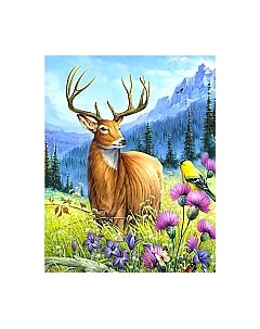 Набор алмазной вышивки Благородный олень / WD2496 Wizardi