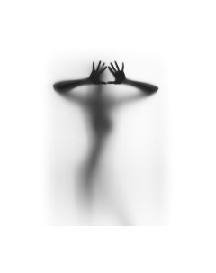 Фотообои листовые Citydecor Силуэт