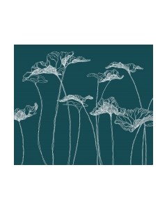 Фотообои листовые Citydecor Perfect Lines 6