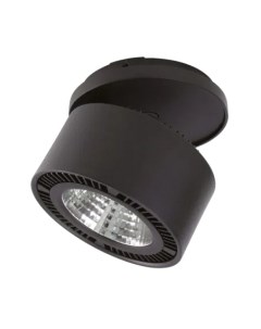 Точечный светильник Lightstar Forte Inca 214807