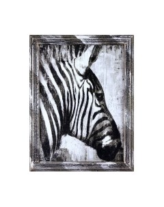 Картина Декарт Зебра 8Л3355