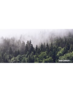 Фотообои Туманный лес 196280 600x280 Фабрикафресок