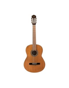 Акустическая гитара Sevillia