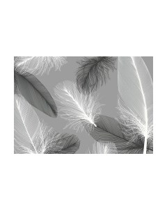 Фотообои листовые Citydecor Абстракция 390