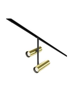 Трековый светильник Maytoni Elti Duo TR005-4-2X12W-DS-BBS