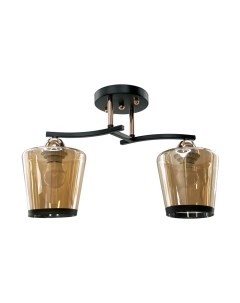 Потолочный светильник Aitin-Pro НПБ 02-2x60-101 / 9072/2 Aitin-pro