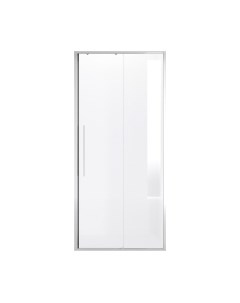 Душевая дверь Niagara NG-64-11A 110x195