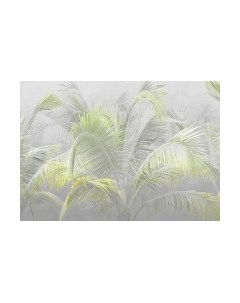 Фотообои листовые Citydecor Знойные тропики 9