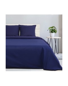 Комплект постельного белья Этель Синяя пыль / 4484472