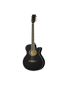 Акустическая гитара Homage LF-401C-B