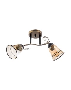 Потолочный светильник Aitin-Pro НПБ 02-2x60-101 / DA5097/2C Aitin-pro