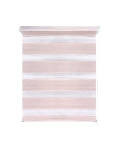 Рулонная штора LEGRAND День-Ночь 66x160 / 58 069 997 Legrand